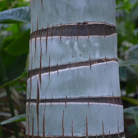 Apartman Penthouse Lomo Alto Candelaria