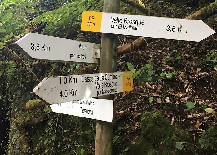 Penthouse Lomo Alto Candelaria