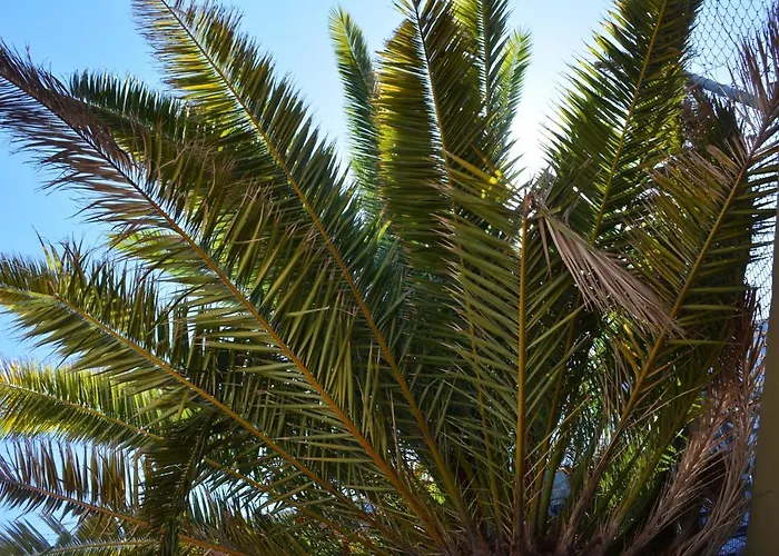 Penthouse Lomo Alto Apartment Candelaria