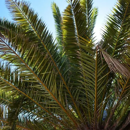 Penthouse Lomo Alto Appartamento Candelaria