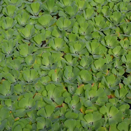 Appartamento Penthouse Lomo Alto Candelaria